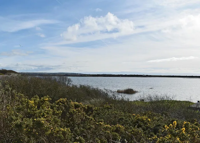 Tranquillity 米勒姆